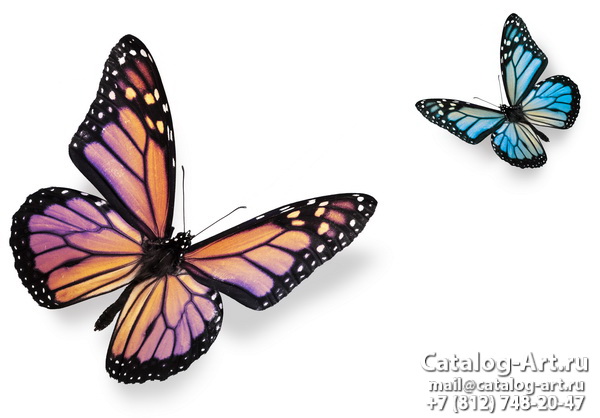  Butterflies 72